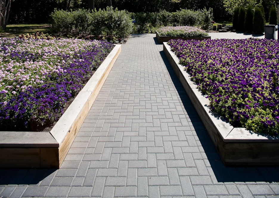 Holland Paver