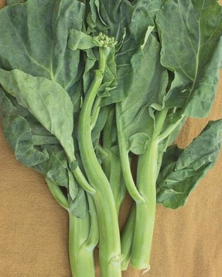Broccoli - Green Pearl