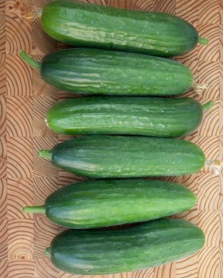 Cucumber - Picolino Organic