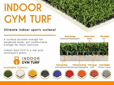 Non-Green Indoor Gym Turf w/ No Foam Backing
