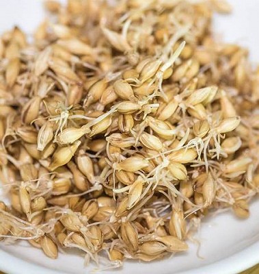 Barley Sprouted Organic - 125grams-250grams