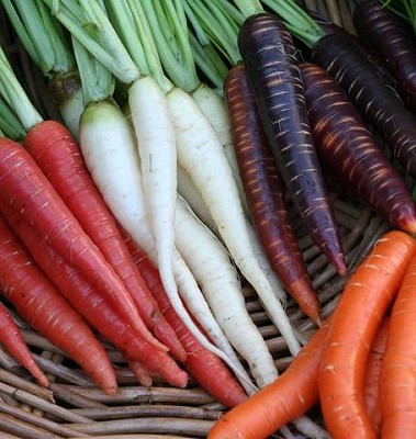 Carrots - Rainbow Blend