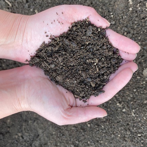 Turf Soil